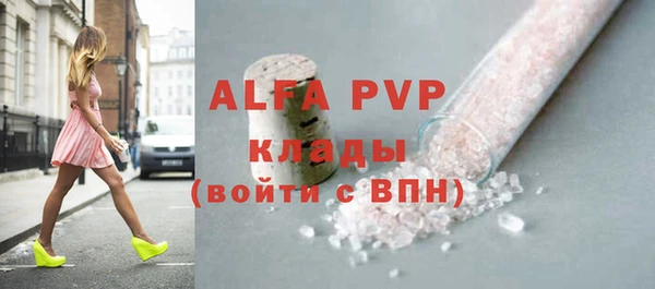 прущие грибы Михайловка