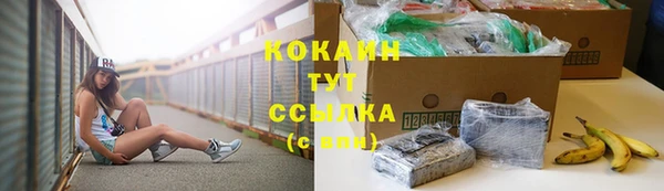 стафф Михайловск