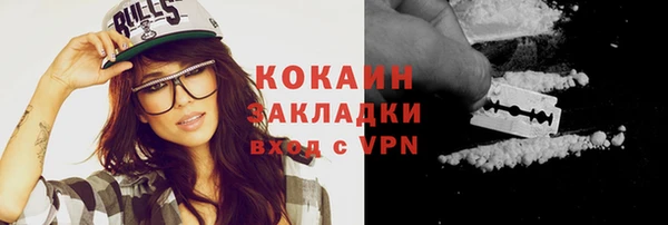 прущие грибы Михайловка