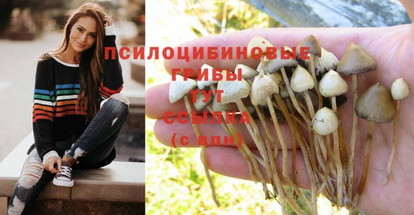 метадон Михайлов