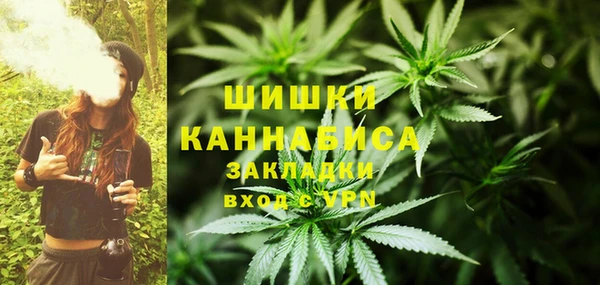 стафф Михайловск