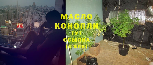 метадон Михайлов