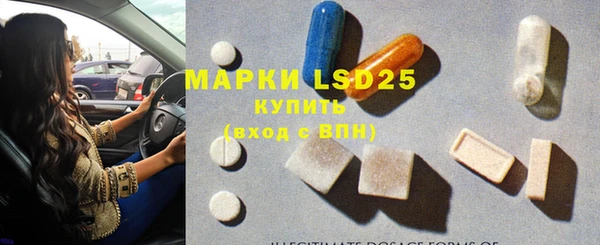 стафф Михайловск
