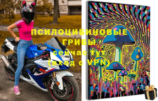 прущие грибы Михайловка