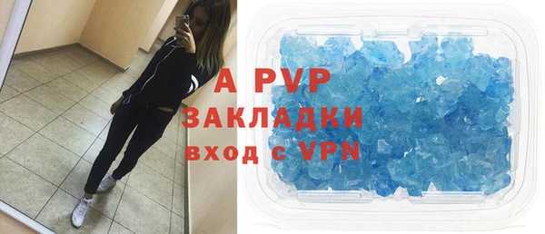 стафф Михайловск