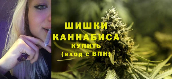 прущие грибы Михайловка