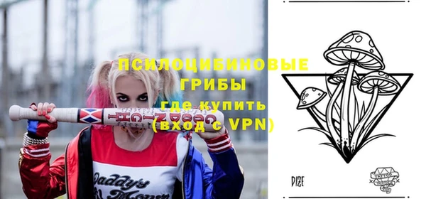прущие грибы Михайловка