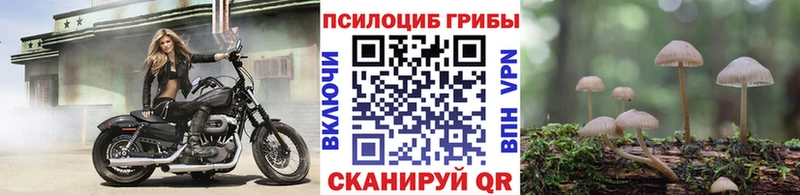 купить   blacksprut онион  Галлюциногенные грибы ЛСД  сайты даркнета как зайти  Сортавала 